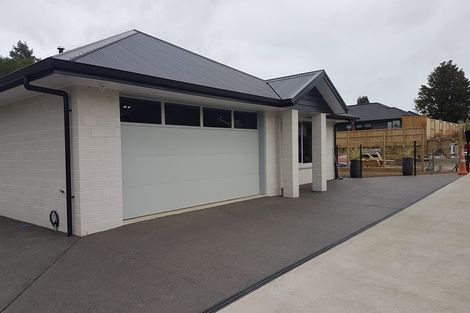 Photo of property in 55c Allen Street, Morrinsville, 3300