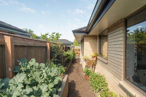 Photo of property in 9 Forget-me-not Lane, Richmond, 7020