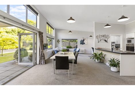 Photo of property in 117a Luxmoore Road, Marchwiel, Timaru, 7910