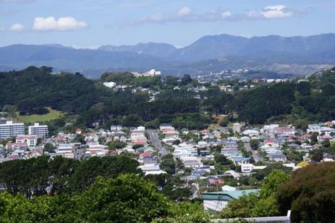 Photo of property in 56 Farnham Street, Mornington, Wellington, 6021