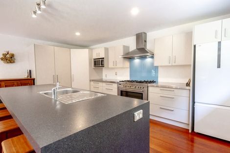 Photo of property in 2 Sanctuary Place, Kumara Junction, Hokitika, 7882