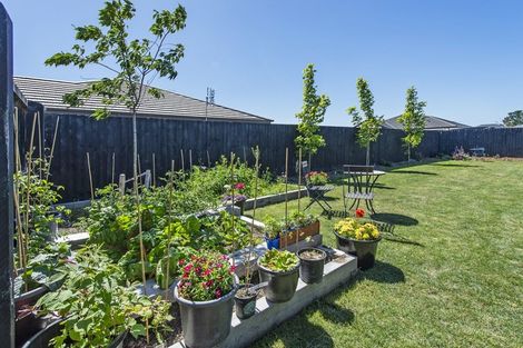 Photo of property in 28 Reuben Avenue, Rolleston, 7615