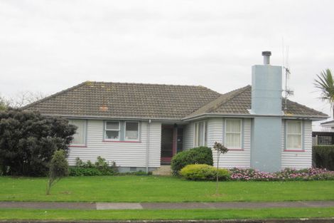 Photo of property in 47 Power Street, Levin, 5510
