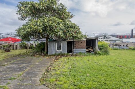 Photo of property in 125 Cambridge Street, Levin, 5510
