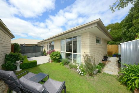 Photo of property in 61c Frankleigh Street, Somerfield, Christchurch, 8024