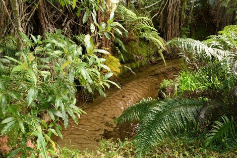 Photo of property in 257b Oropi Gorge Road, Oropi, 3173