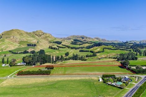 Photo of property in 36 Seddon Street, Ward, Seddon, 7285