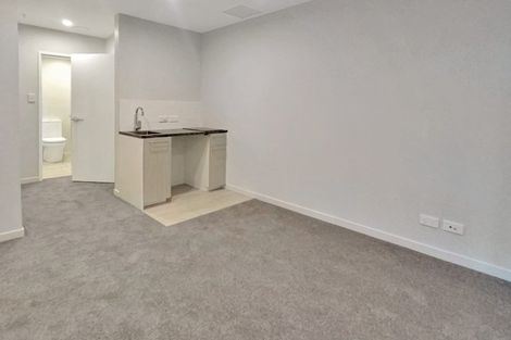 Photo of property in Vsp South, 305/168 Victoria Street, Te Aro, Wellington, 6011
