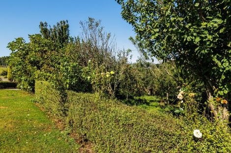 Photo of property in 454 South Ridge Road, Pahiatua, 4983