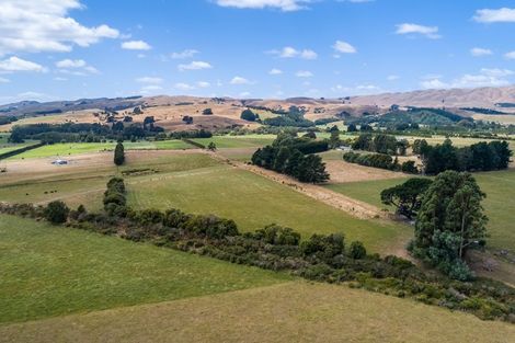 Photo of property in 100 Donovans Road, Kopuaranga, Masterton, 5882