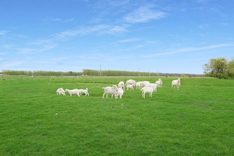 Photo of property in 236 Biggs Road, Richmond, Oamaru, 9493