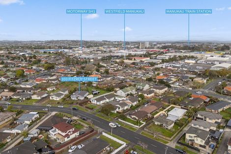 Photo of property in 103 Fitzroy Street, Papatoetoe, Auckland, 2104