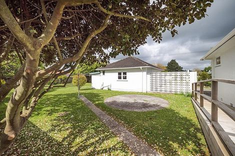 Photo of property in 93 Stortford Street, Ashhurst, 4810