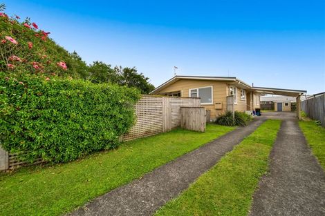 Photo of property in 58 Murray Avenue, Hawera, 4610