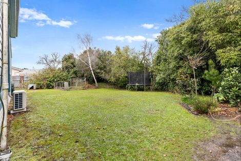 Photo of property in 18 Dixons Line, Bunnythorpe, Palmerston North, 4481