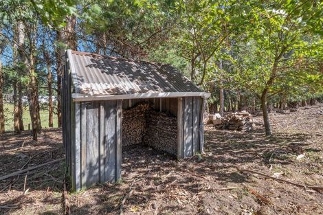 Photo of property in 371 Tutaki Road, Bunnythorpe, Palmerston North, 4470