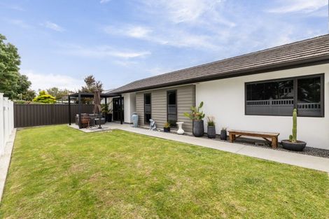 Photo of property in 1008b Frances Street, Akina, Hastings, 4122