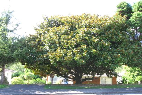 Photo of property in 31 Compton Street, Hillcrest, Auckland, 0627
