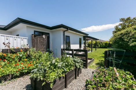 Photo of property in 115 Squire Drive, Awatoto, Napier, 4110