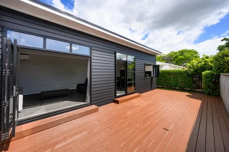 Photo of property in 30a Alfred Street, Roslyn, Palmerston North, 4414