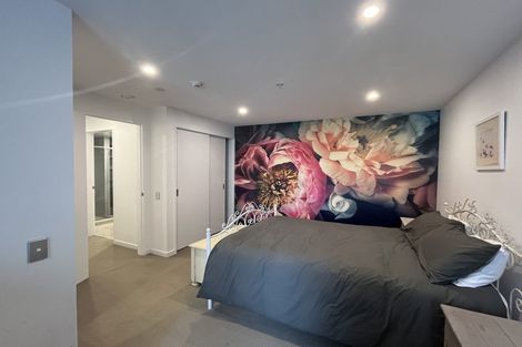 Photo of property in Republic Apartments, 3c/11 Tennyson Street, Te Aro, Wellington, 6011