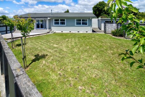 Photo of property in 29 Daniell Street, Solway, Masterton, 5810