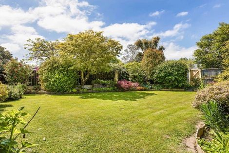 Photo of property in 29 Pultney Street, Leeston, 7632