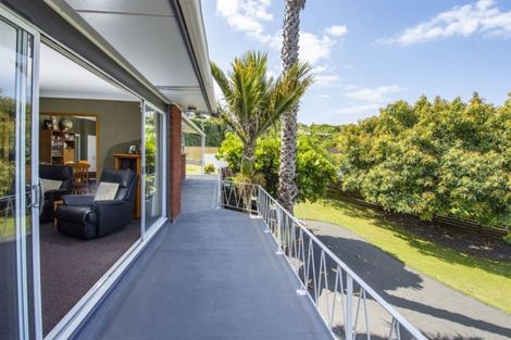 Photo of property in 32 Lynwood Place, Brookfield, Tauranga, 3110