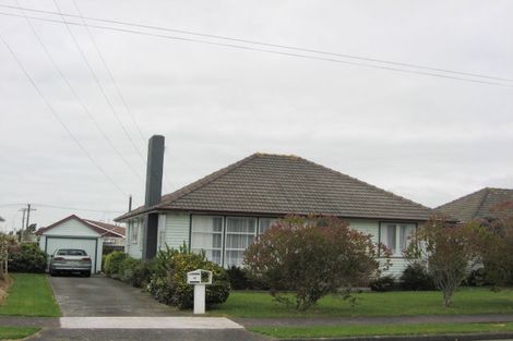 Photo of property in 45 Power Street, Levin, 5510