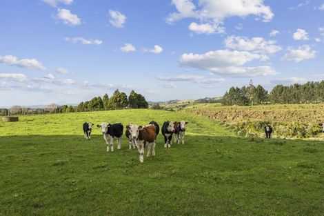 Photo of property in 223 Mataro Road, Onaero, Urenui, 4375