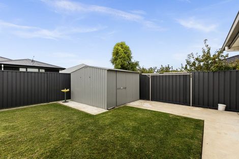 Photo of property in 42 Lochhead Street, Mahora, Hastings, 4120