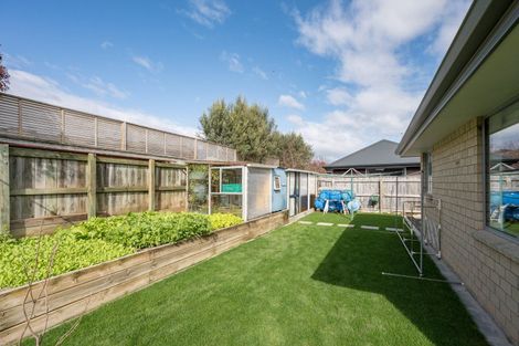 Photo of property in 17 Joyce Place, Richmond, 7020