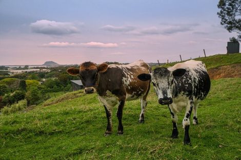 Photo of property in 39 Corbett Drive, Minden, Tauranga, 3176