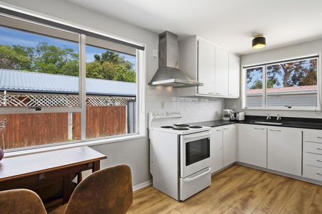 Photo of property in 2/46 Aldwins Road, Phillipstown, Christchurch, 8062