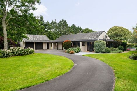 Photo of property in 803d Bruntwood Road, Tamahere, Hamilton, 3283