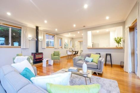 Photo of property in 161 Signal Hill Road, Opoho, Dunedin, 9010