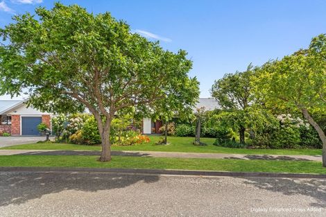 Photo of property in 147 Redwood Street, Redwoodtown, Blenheim, 7201