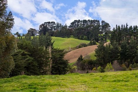 Photo of property in 48 Norsewood Ormondville Road, Norsewood, 4974