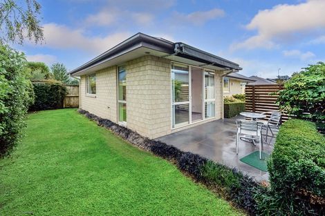 Photo of property in 168 Barrington Street, Somerfield, Christchurch, 8024