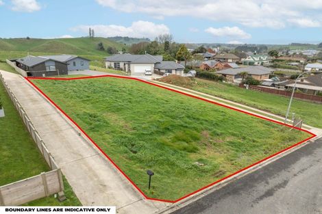 Photo of property in 16 Fairview Street, Tirau, 3410