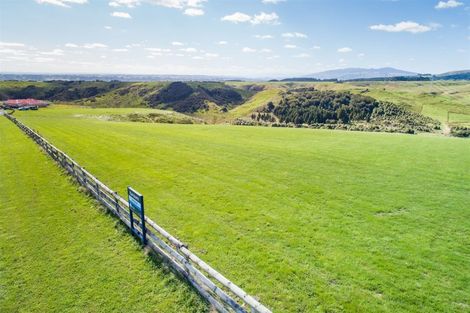 Photo of property in 164 Kingsdale Park Drive, Aokautere, 4471