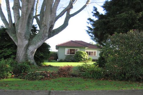 Photo of property in 85 Allen Street, Morrinsville, 3300