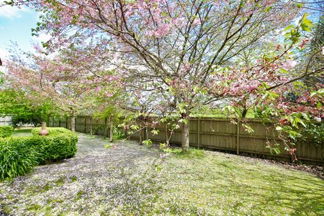 Photo of property in 13 Claymore Place, Flagstaff, Hamilton, 3210