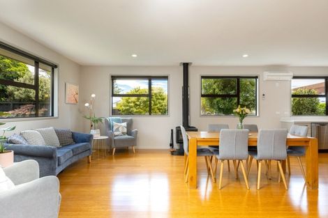 Photo of property in 17 Hilton Place, Blenheim, 7201