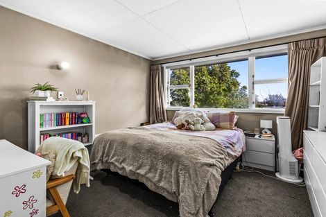 Photo of property in 169 Nelson Crescent, Napier South, Napier, 4110