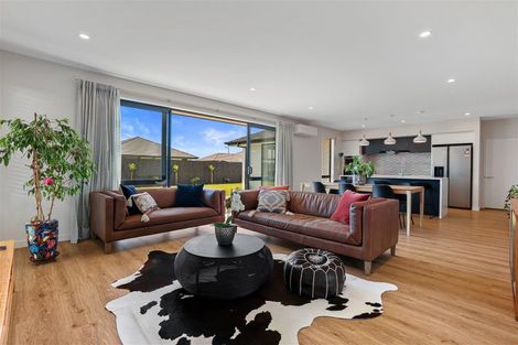 Photo of property in 81 Southfield Drive, Lincoln, 7608