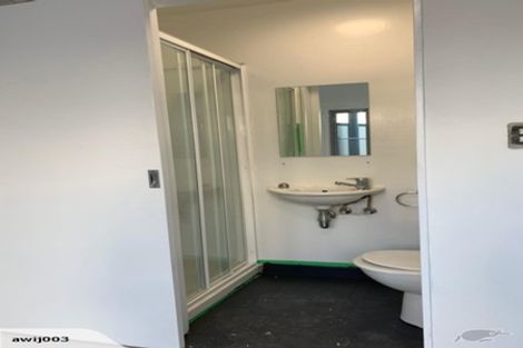 Photo of property in 18 Ngaoho Place, Parnell, Auckland, 1010