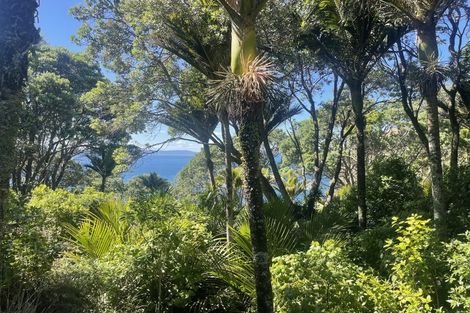 Photo of property in 14 Boulder Bay Drive, Tuateawa, Coromandel, 3583