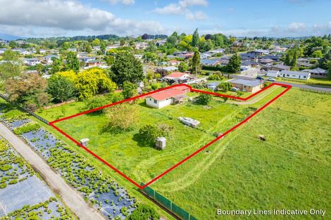 Photo of property in 17a Sheehan Street, Kihikihi, Te Awamutu, 3800