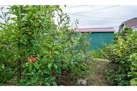 Photo of property in 22 Harris Street, Waimate, 7924